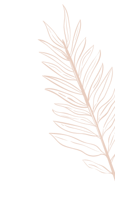leaves_3